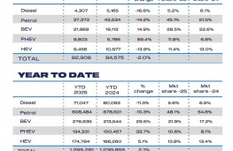 New car registrations August 2025, by fuel and type